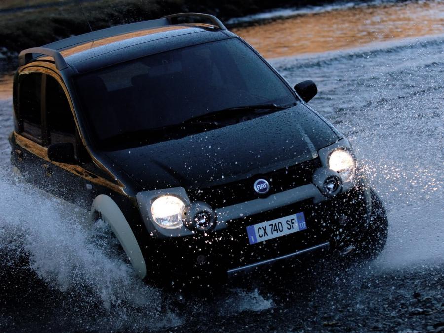  Fiat Panda Cross 2005 года  (фото 17 из 48)